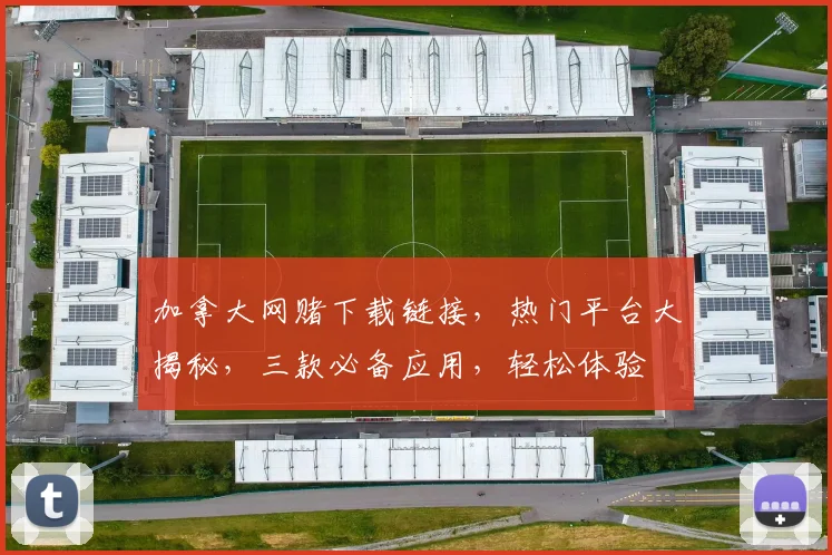 加拿大网赌下载链接，热门平台大揭秘，三款必备应用，轻松体验