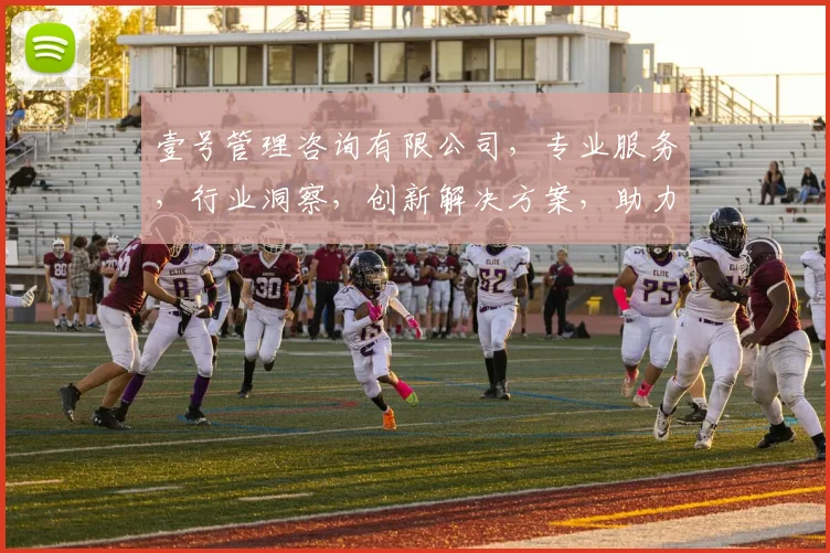 壹号管理咨询有限公司，专业服务，行业洞察，创新解决方案，助力企业腾飞三步曲