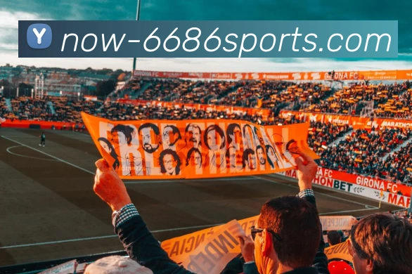 6686体育最新版APPAPP 封面图